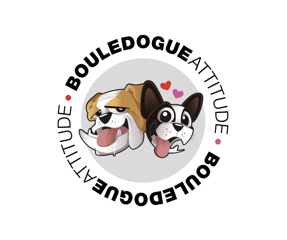 Fondation Bouledogue Attitude